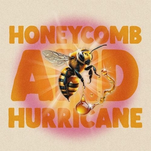 Katanak’s ‘Honeycomb And Hurricane’: A Summer Anthem You Won’t Forget
