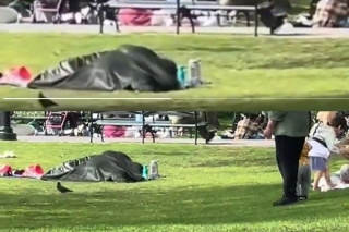 WATCH VIDEO: Couple Caught Indulging In Sexual Activities Under A Blanket In A NYC Park