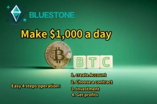 How To Make Money Online? BluestoneMining Teaches You How To Make $1000 A Day