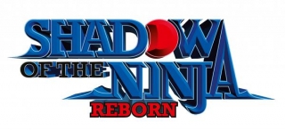 Does Shadow Of The Ninja - Reborn Support Co-op Multiplayer