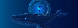 Research Shows That Bitcoin Whales Are Accumulating At Pre-Bull Run Levels: $1B Daily Inflows