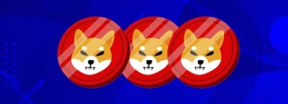 Shiba Inu Exec Teases 2024-2025 Roadmap With Liquid Staking, Layer 3 Testnet, And More