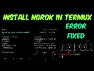 How To Install Ngrok In Termux [Updated 2024]