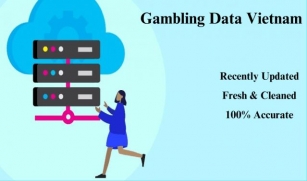 Gambling Data Vietnam
