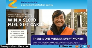 Z Customer Satisfaction Survey | Tellz.co