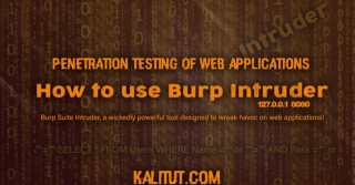 How To Use Burp Suite Intruder