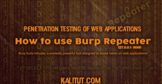 How To Use Burp Suite Repeater