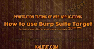 How To Use Burp Suite Target