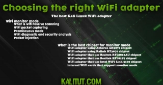 Choosing The Right WiFi Adapter