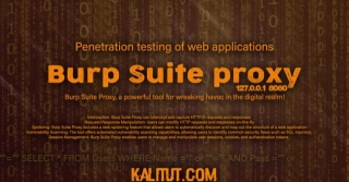 How To Use Burp Suite Proxy