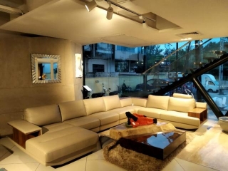 Luxury L Shape Sofa Design For Living Room