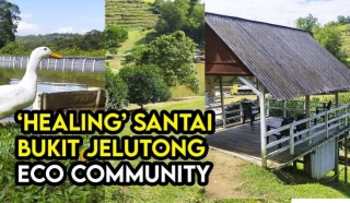 Healing Dan Santai Di Bukit Jelutong Eco Community Park Selangor