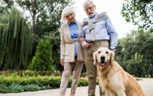 Aging Gracefully with Your Furry Companion