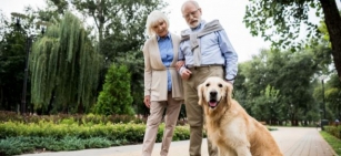 Aging Gracefully With Your Furry Companion