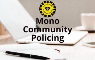 The Role of Community Policing in Enhancing Neighbourhood Security