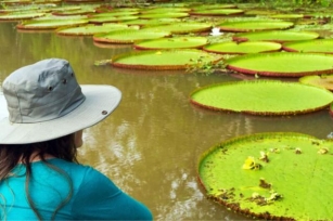 Descubriendo Leticia, Amazonas: Naturaleza Y Aventura