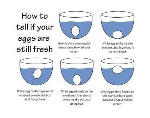 5 Simple Ways To Tell If Eggs Are Bad
