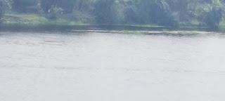 #LetterToRiver: Kansabati River By Yarra Tanu - A Journey Through Bengal's Veins