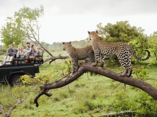 5 Top Destinations For A Holiday In South Africa