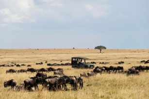 14 Superhuman Destinations Kenya Rift Valley Safari Offers