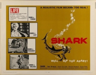 HOLLYWOOD HISTORY: Lookout! Shark!