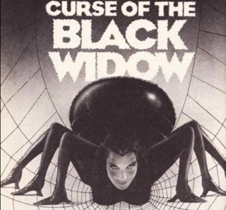 Retro Review: CURSE OF THE BLACK WIDOW