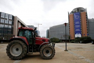 Farmers Take To The Streets Of Brussels To Demonstrate Again