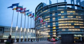 Green Light: European Parliament Passes Landmark Nature Restoration Law