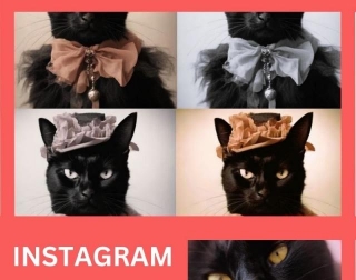 The Biggest Instagram Strategy Mistakes -  Instagram Help Tips