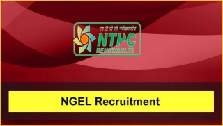 NGEL Recruitment 2024: 63 Engineer & Executive Vacancy