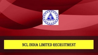NCL India Limited Recruitment 2024: 239 Industrial Trainee (IT) Posts