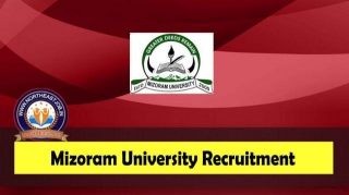 Mizoram University Recruitment 2024: 07 Field Investigator Posts