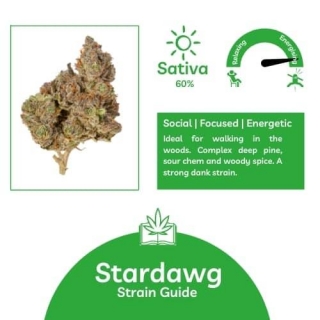 Stardawg Cannabis Seeds With Unbeatable Quality And Savings.