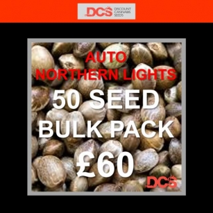 Bulk Cannabis Seeds Get 50 Seeds For £60 At Cannabis Seeds Store