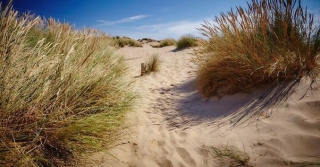 10 Things To Do At Camber Sands [2024]