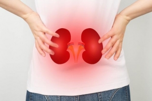 Understanding Nephrotic Syndrome: A Guide To Symptoms, Causes, And Treatment
