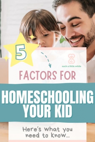 Should I Homeschool My Son Or Daughter? 5 Key Factors