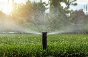 When And How Much To Water The Lawn