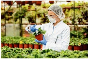 Agro Chemicals Market Size Share Statistics, Feasibility, Forecasts 2035