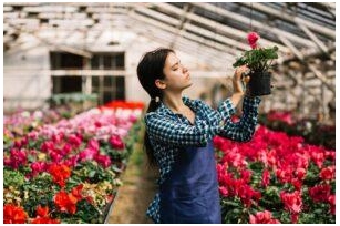 Floriculture Market Size, Feasibility Report, Trends & Forecasts 2035
