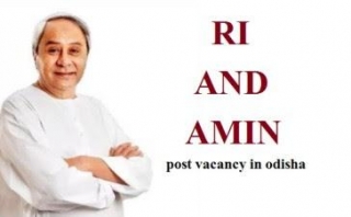 RI And Amin  Post Vacancy In Odisha 2024