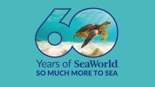 SeaWorld 60th Anniversary Celebration Includes Specially Priced Tickets