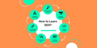 How To Learn SEO From Scratch? 2024 Guide