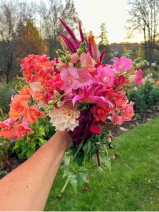 Grow Your Own Bouquets With This Cut Flower Gardening Guide