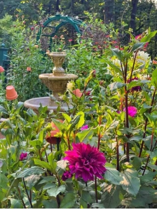 7 Tips For Creating A Dreamy Cottage Garden