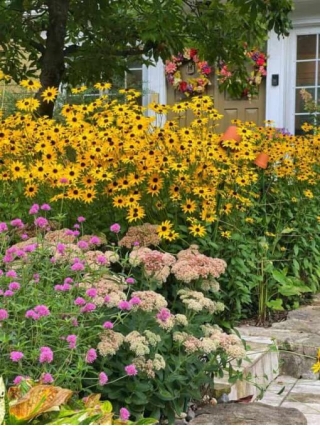 Eco-Friendly Ideas For Your Flower Garden