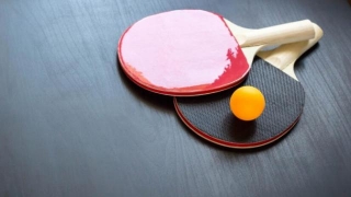 Ping Pong Vs. Table Tennis: Which One Do You Need