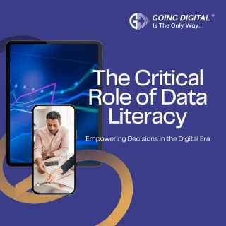 Empowering Decisions In The Digital Era: The Critical Role Of Data Literacy And Application