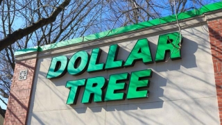 5 Items Frugal People Proudly Exclude From Their Dollar Tree Shopping List