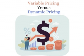 Dynamic Pricing: The Complete Guide In 2024